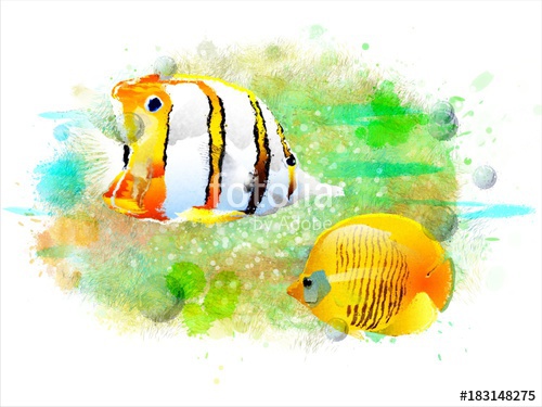 500x375 Watercolor Painting Of Tropical Fish In An Abstract Background - Watercolor Paintings Of Tropical Fish