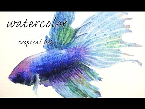 480x360 Watercolor Illusr Tropical - Watercolor Paintings Of Tropical Fish
