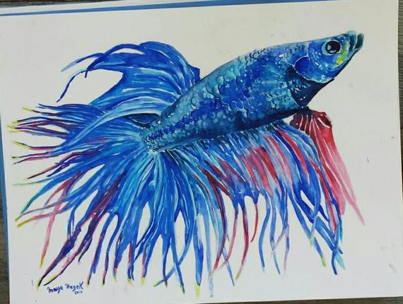570x430 Betta Fish Painting Tropical Fish Watercolor Exotic Fish Etsy - Watercolor Paintings Of Tropical Fish