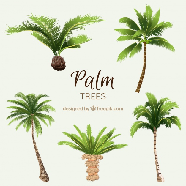 626x626 Pack Of Watercolor Palms Vector Free Download - Watercolor Palm