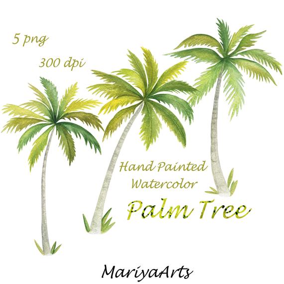 570x570 Palm Tree Clipart Watercolor Clip Art Hand Painted Double Etsy - Watercolor Palm