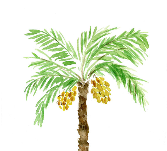 570x516 Palm Tree Art Print, Palm Tree Watercolor Print, Green, Brown - Watercolor Palm