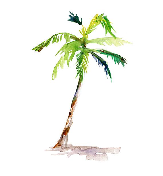 570x614 Palmtree Art - Watercolor Palm