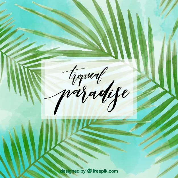 626x626 Tropical Background With Watercolor Palm Leaves Vector Free Download - Watercolor Palm