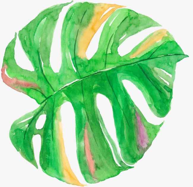 650x630 Watercolor Palm Leaf, Watercolor Clipart, Watercolor, Palm Leaves - Watercolor Palm