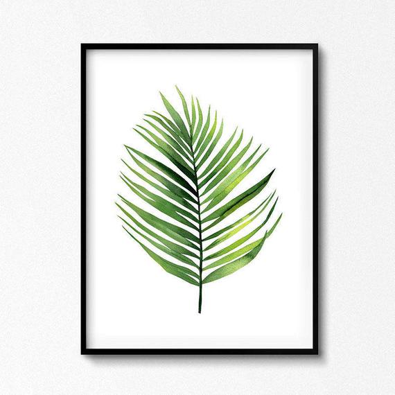 570x570 Watercolor Palm Leaf Watercolour Plant. Palm Leaf Poster Etsy - Watercolor Palm Leaves