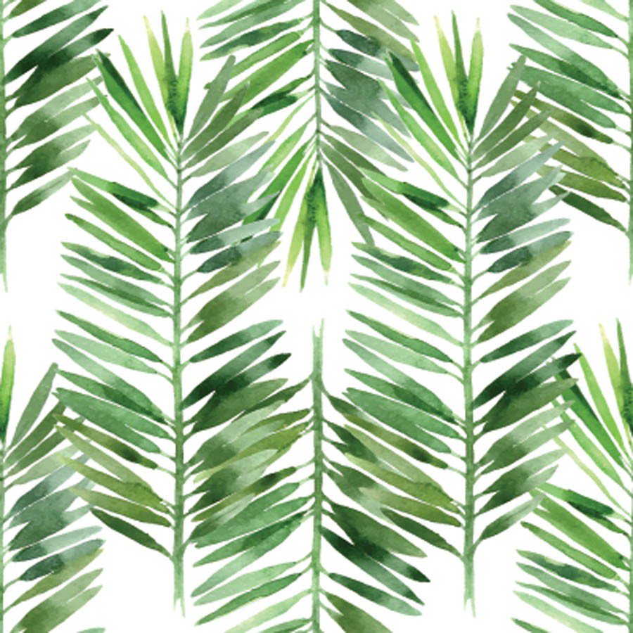 Watercolor Palm Leaves at Explore collection of