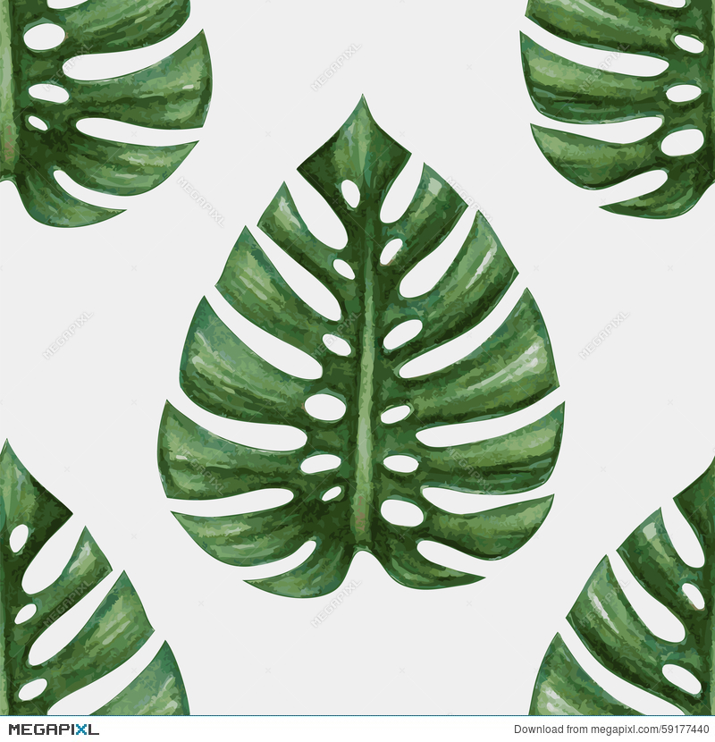 800x830 Watercolor Tropical Palm Leaves Seamless Pattern Illustration - Watercolor Palm Leaves