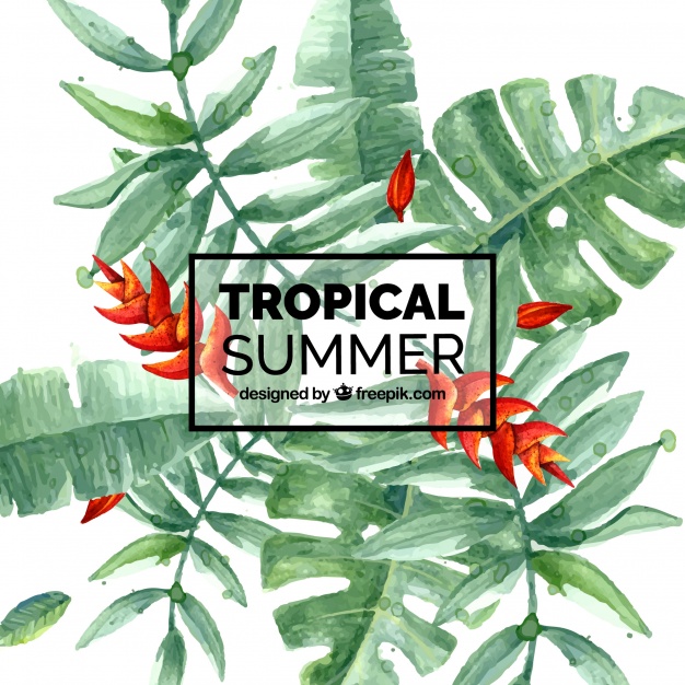 626x626 Background Of Watercolor Palm Leaves Stock Images - Watercolor Palm Leaves