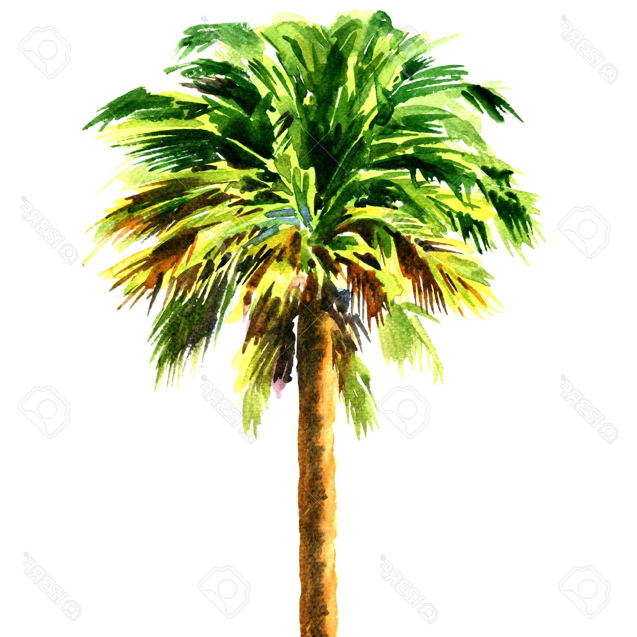 1300x1300 Painting Palm Trees In Watercolor Green Beautiful Palm Tree - Watercolor Palm Tree