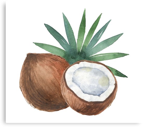 550x487 Watercolor Coconut And Palm Trees. Canvas Prints By - Watercolor Palm Tree