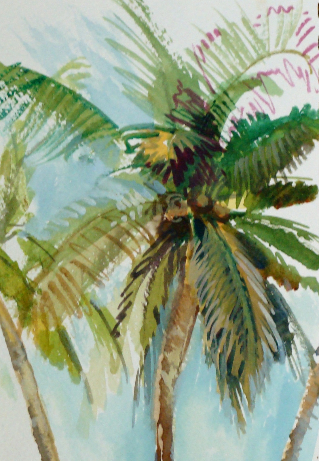 1108x1598 Lesson On How To Draw A Palm Tree, Lillian Kennedy, Watercolor And - Watercolor Palm Tree