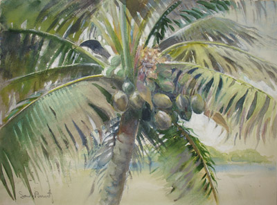 400x296 Fine Art, Sandor Bernath, Tropical, Coconut Palm, Watercolor - Watercolor Palm Tree
