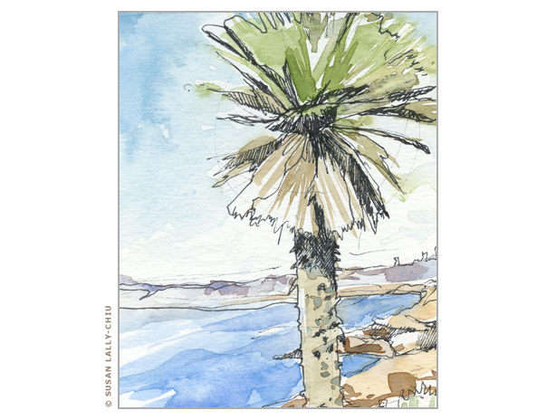 614x464 La Jolla Palm Tree Watercolor Happy Tree Press, Susan Lally Chiu - Watercolor Palm Tree