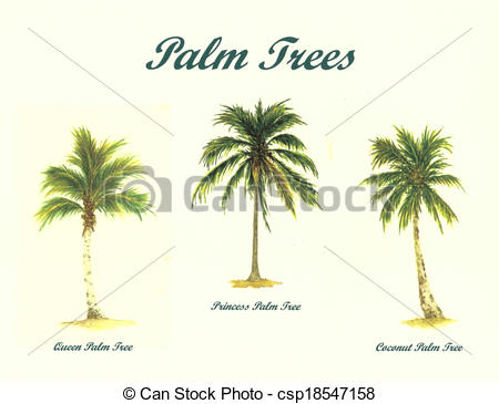 450x365 Palm Trees. Watercolor Painting Of A Collage Of Palm Trees. - Watercolor Palm Trees Art