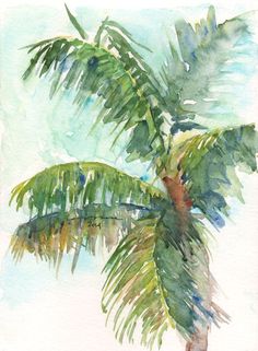 236x321 Pictures Drawing Palm Trees In Watercolor, - Watercolor Palm Trees Art