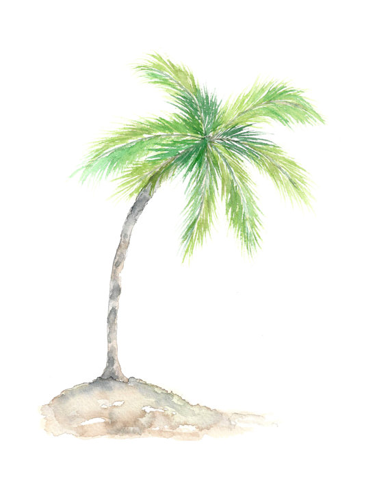 570x713 Watercolor Palm Tree Art Tropical Art Watercolor Tropical - Watercolor Palm Trees Art
