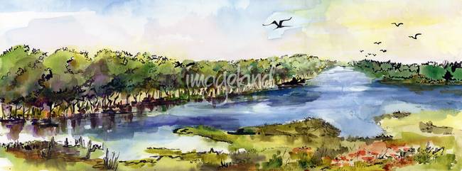650x241 Summer Landscape River Panorama Watercolor By Ginette Callaway - Watercolor Panorama
