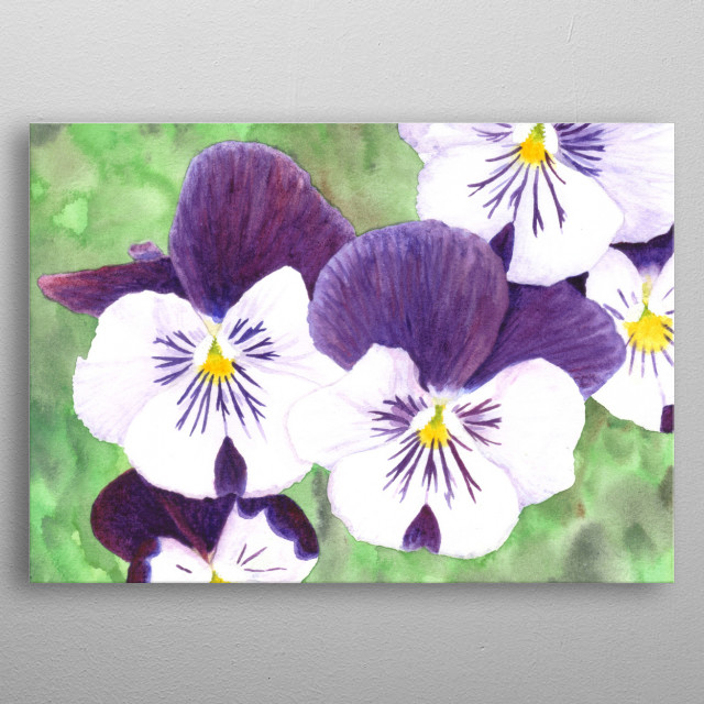 640x640 Pansies Flowers Watercolor P... By Metal Posters - Watercolor Pansies