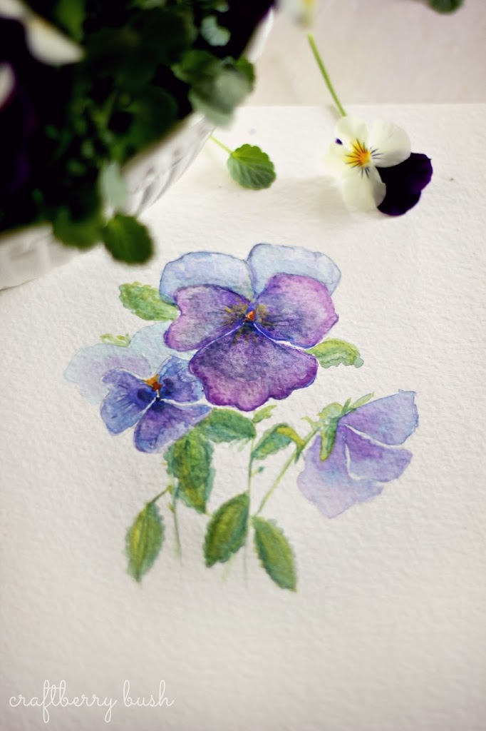 682x1024 Pansiesviolas And Some Watercolor - Watercolor Pansies