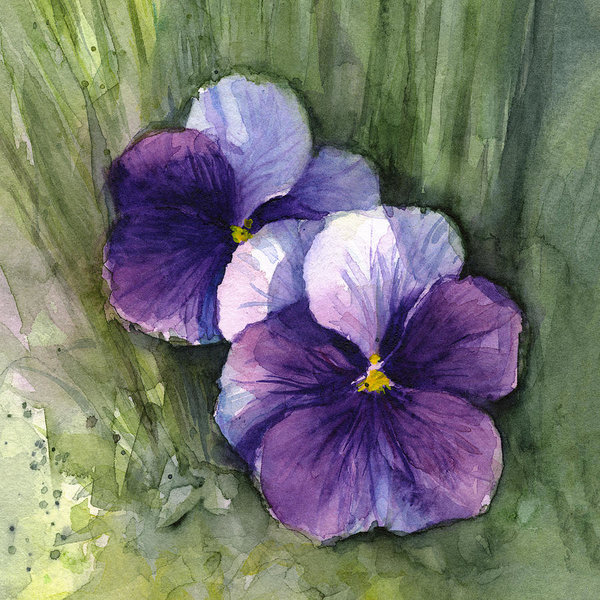 600x600 Purple Pansies Watercolor Art Print By Olga Shvartsur - Watercolor Pansies