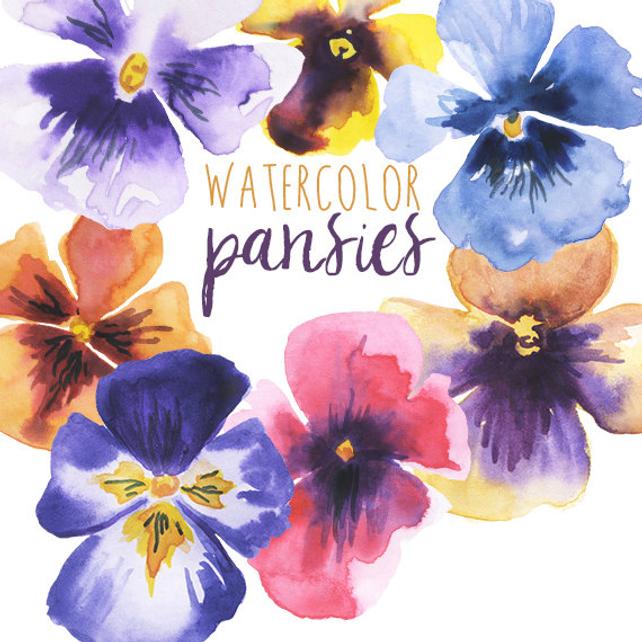642x642 Watercolor Clip Art Floral Pansy Clip Art Pansies Clipart Etsy - Watercolor Pansies