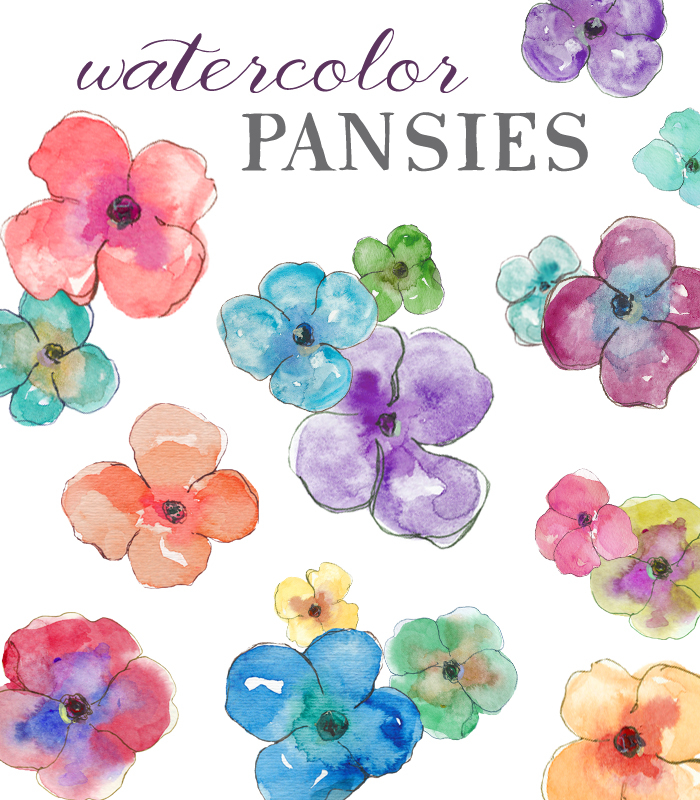 700x800 Cute, Hand Painted Watercolor Pansies Clip Art - Watercolor Pansies