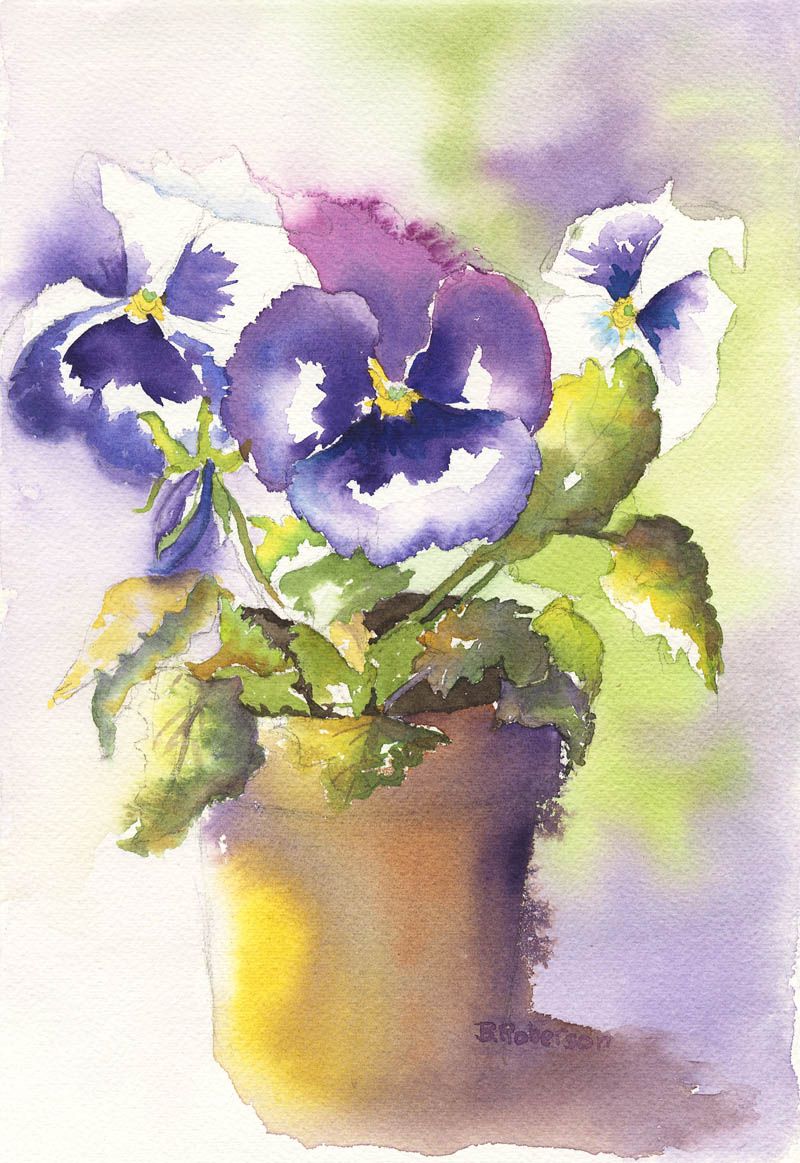 800x1163 Watercolor By Beth Roberson Paintings I Love - Watercolor Pansies