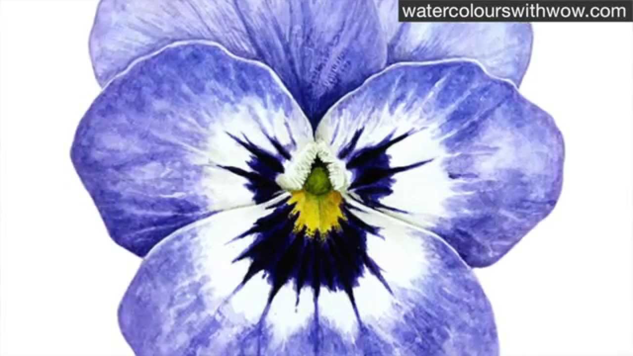 1280x720 How To Know When To Stop - Watercolor Pansies