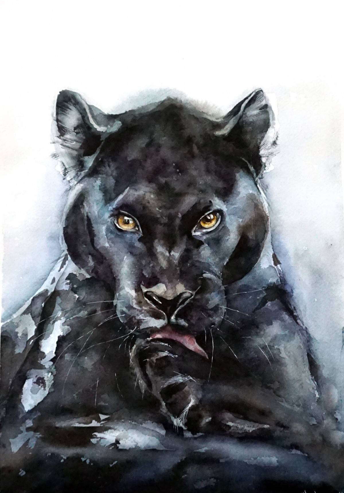 Watercolor Panther at PaintingValley.com | Explore collection of ...