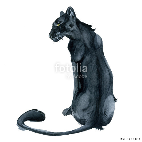 500x500 Watercolor Black Panther Wiledlife Illustration Stock Photo And - Watercolor Panther