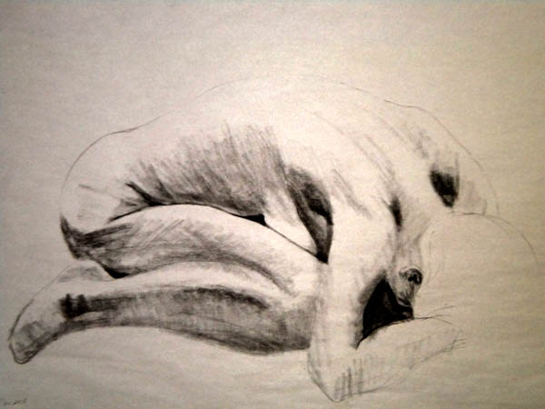 600x450 Charcoal To Watercolor - Watercolor Paper For Charcoal