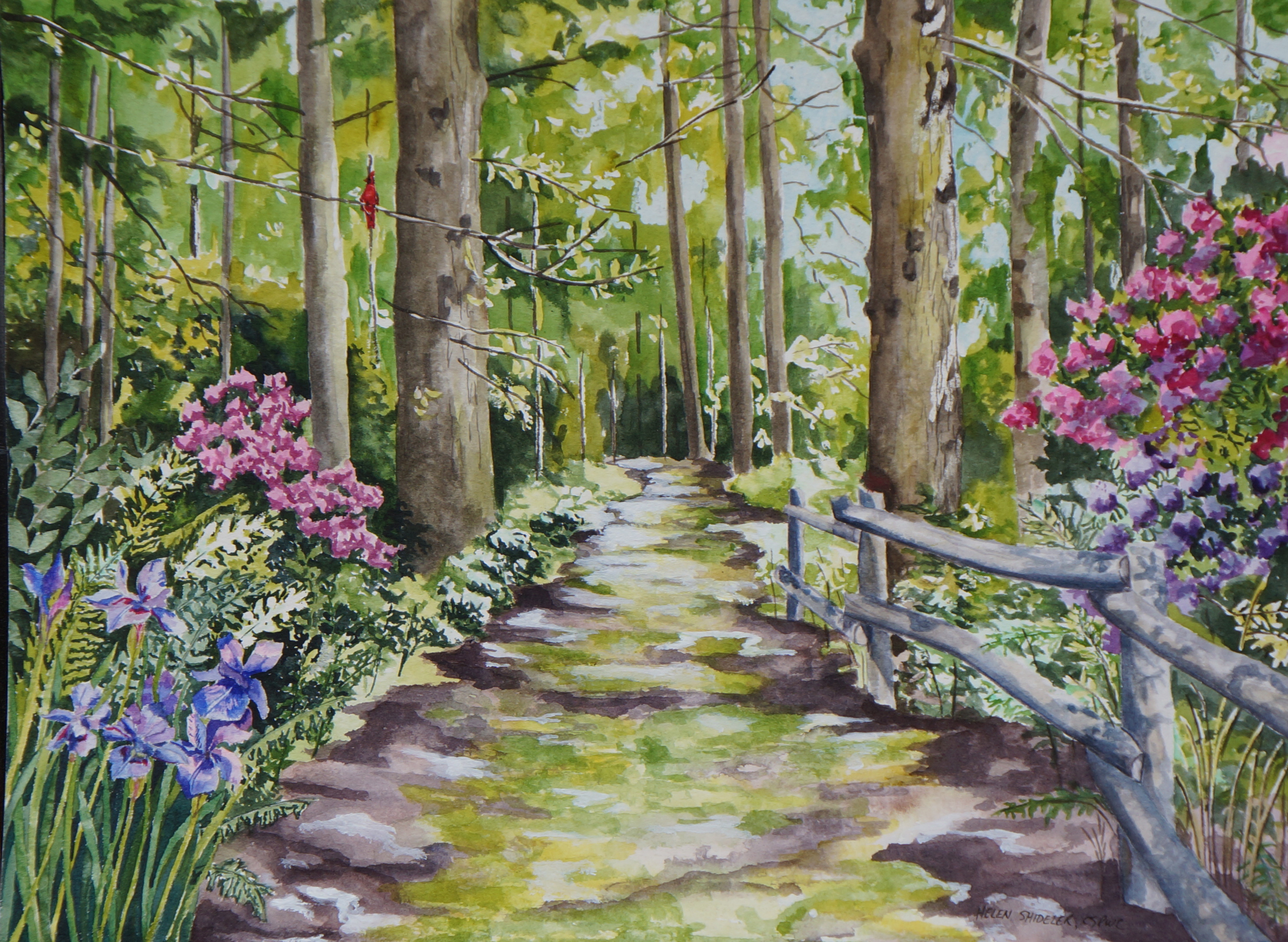 Watercolor Path at Explore collection of