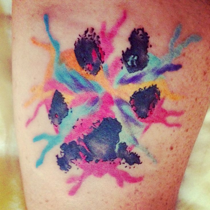 736x736 Collection Of Sensational Watercolor Paw Print Tattoo - Watercolor Paw Print