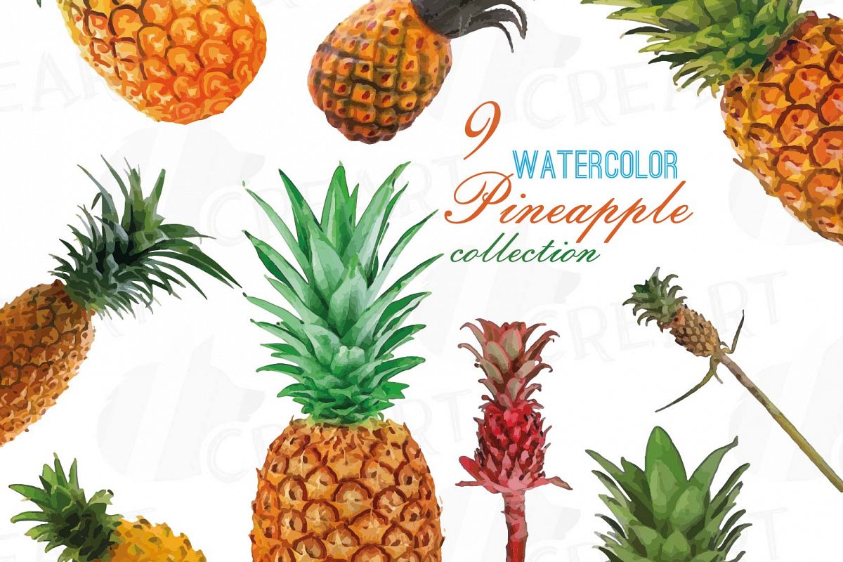 1200x800 Watercolor Pineapple Clip Art Pack, Watercolor Ananas Clip Art - Watercolor Pdf