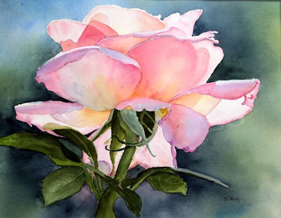 576x448 Watercolor Peace Rose - Watercolor Peace