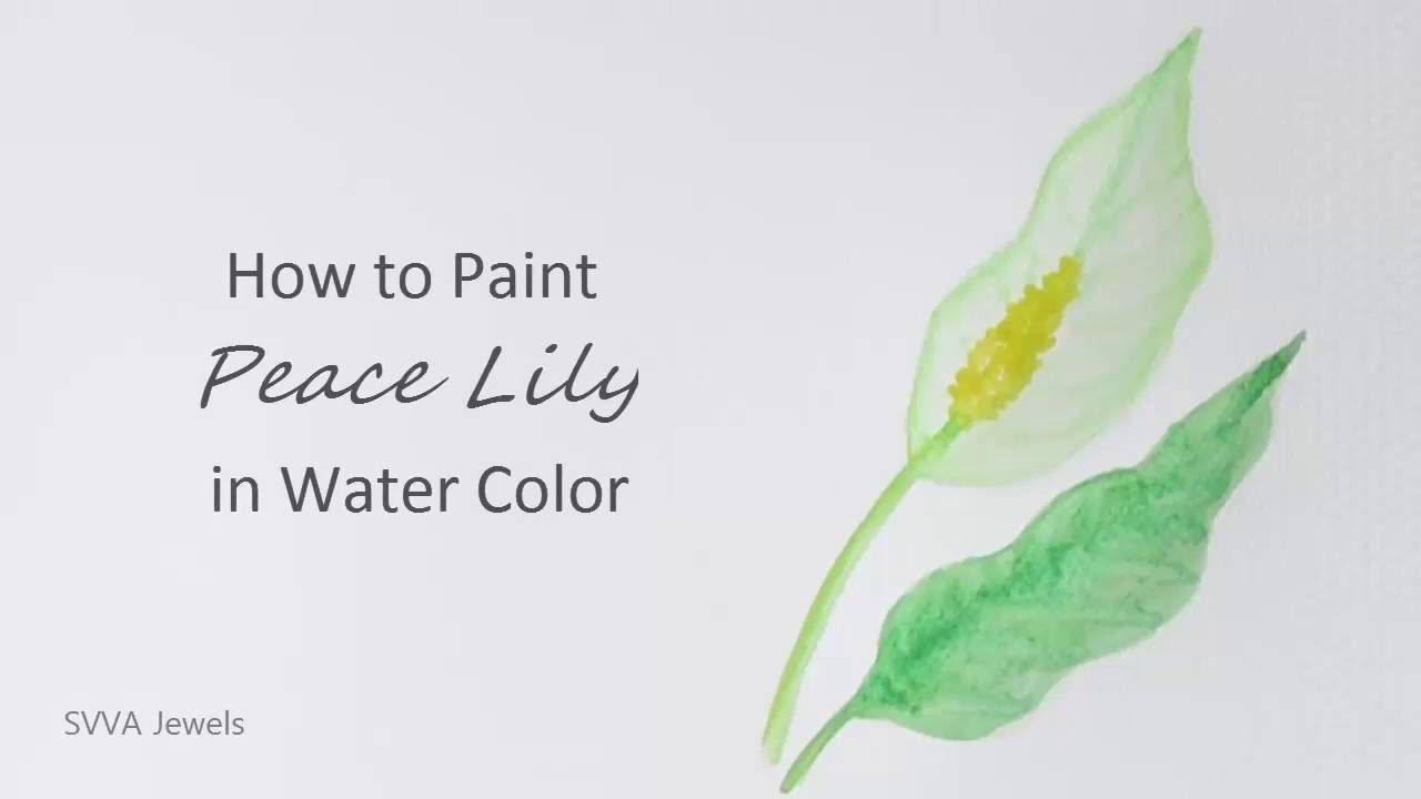 1280x720 How To Paint Peace Lily In Watercolor - Watercolor Peace