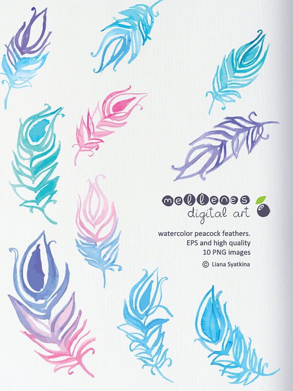 570x761 Peacock Clipart Watercolor - Watercolor Peacock Feather