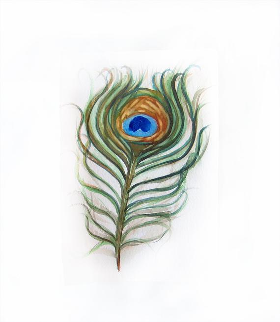 570x657 Watercolor Peacock Feather Peacock Feather Painted By Etsy - Watercolor Peacock Feather