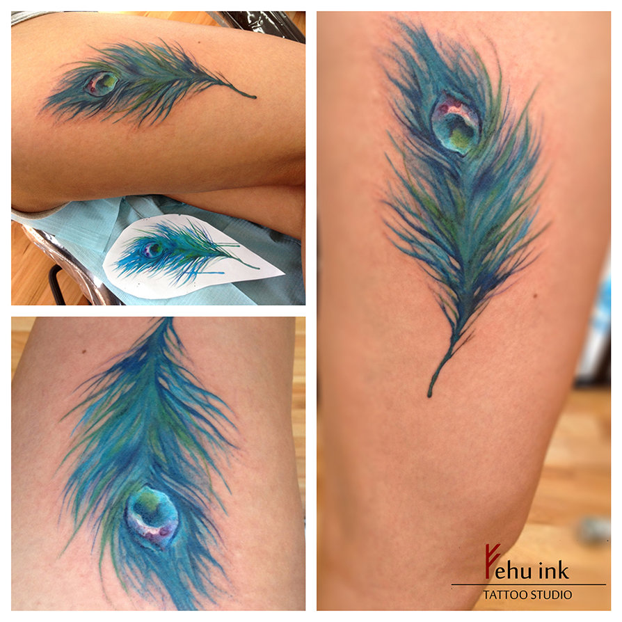 894x894 Watercolor Peacock Feather By Ellegottzi - Watercolor Peacock Feather