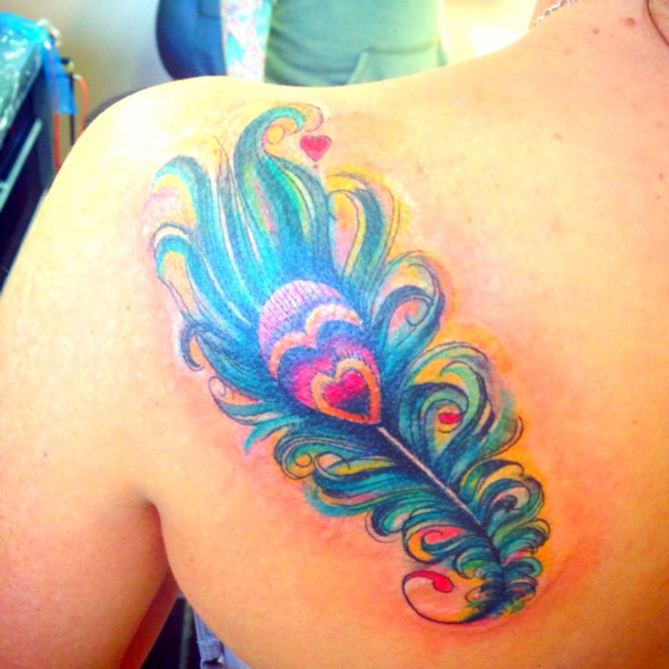 736x736 Similiar Watercolor Peacock Feather Tattoos Keywords - Watercolor Peacock Feather Tattoo