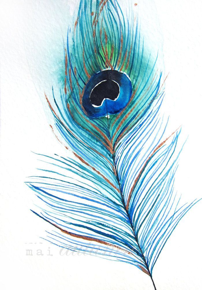 700x1001 Watercolour Peacock Feather Peacocks Watercolor - Watercolor Peacock Feather Tattoo