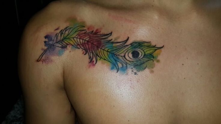 736x414 Watercolor Tattoos Peacock Ideas - Watercolor Peacock Feather Tattoo