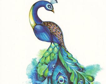340x270 Peacock Tattoo Etsy - Watercolor Peacock Tattoo