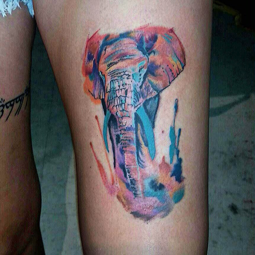 861x861 Watercolor Elephant By Dustin - Watercolor Peacock Tattoo