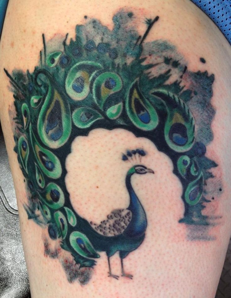 736x947 Watercolor Peacock Tattoo Back - Watercolor Peacock Tattoo