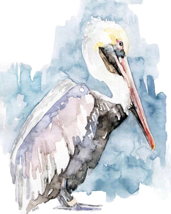 570x712 Watercolor Painting Pelican Painting Pelican Print Pelican Etsy - Watercolor Pelican