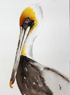 236x316 Original Bird Painting Bird Art Pelican Watercolor Painting By - Watercolor Pelican