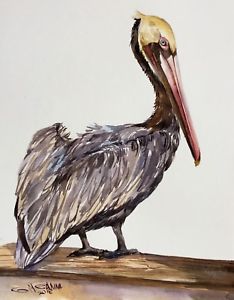 234x300 Brown Pelican Sitting On The Branch,sea Bird,ocean,original - Watercolor Pelican