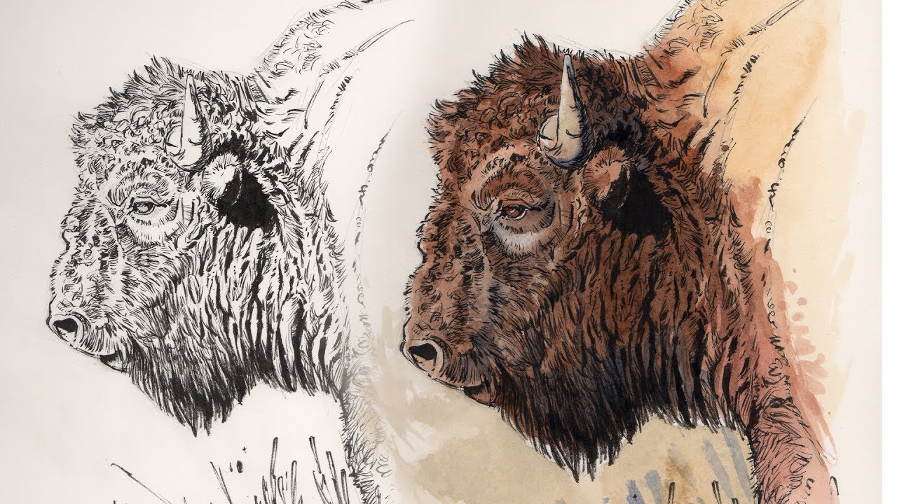 1280x720 Painting - Watercolor Pen And Ink Art